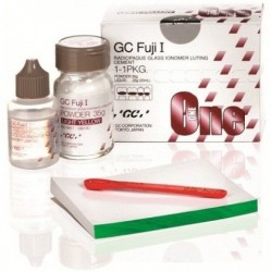 Cem Ion Fuji I (1-1) #